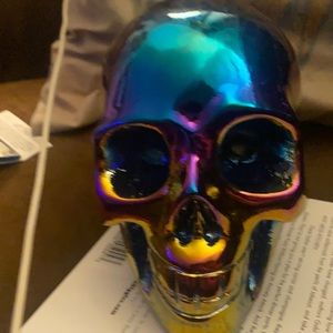 Rainbow 🌈 titanium skull. 11.48 lbs